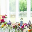 아임펜션 이미지