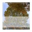 화암로 | 가을 가볼만한곳 2025 대구수목원 단풍 포토스팟 실시간 상황 후기