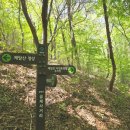 개인택시(웅치) 이미지