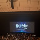 문화가있는날 하우스콘서트(황애리) | 세종문화회관 대극장 공연 1층, 2층 관람 후기 | 해리포터 죽음의 성물 1·2 콘서트