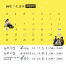 하늘농부유기농영농조합 | 10월 가을 농부시장 마르쉐 제철공연 @목동 오목공원(핸드팬 칼리), 공공디자인페스티벌 @성수 언더...