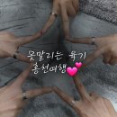 강원도 홍천여행3_풀빌라 우노하우스, 홍천 한우애, 카페APFEL