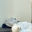 인동13길-2 이미지