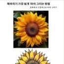 그림 초보자도 쉬운 색연필 그리기 이미지