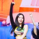 포토조아 이미지