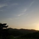 일도 농장 이미지