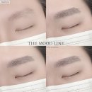 더무드라인