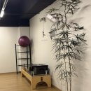 더원 필라테스 앤 요가 | 일곡동 필라테스 유니필라테스앤번지피지오 일곡점 후기 (매트요가, 플라잉요가, 번지 피지오)