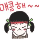 홍파파중국집 이미지