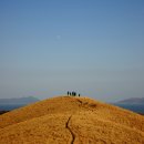 산너울 민박 Daum카페