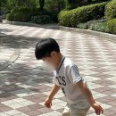 방배로31길 36 이미지