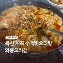 오리섬 | 천안 목천맛집 와룡오리섬