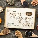 콩들의 이야기 이미지