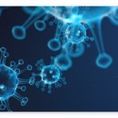 소화성 가정 | 헬리코박터균 치료 왜 중요할까? 증상부터 관리법까지