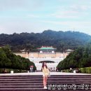 버스정류장 05-221 | 대만 국립 고궁박물관 입장료 동파육 배추 맛집 추천