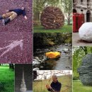 골드워시 이미지