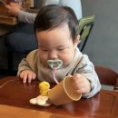 보배반점 당진읍내점 | 보배반점 크림짬뽕 당진읍내점 아기랑 내돈내산 방문후기 주차 정보