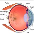 (주)이에이치엘 이미지