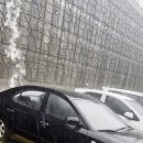 실시간 폭우로인한 부산 대참사 이미지