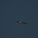 에코버드투어
