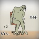 협성프라자 | 부암동pt 다이어트보다 중요한 '통증 없는'내 몸 맞춤 운동 과정 후기