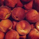 회인농장 이미지