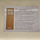 금빛코다리 이미지