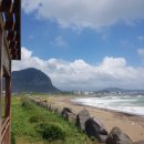 형제해안로 이미지