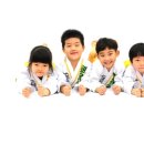 드래곤태권도 이미지