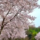 (주)석지 이미지