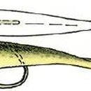 마스터소프트 이미지