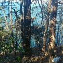 대곡3길 이미지