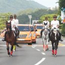 황금마차 이미지