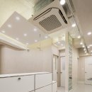 케어덴 동물치과&내과병원 이미지