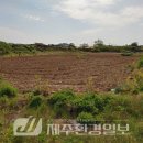 귀덕3리[남] 네이버블로그