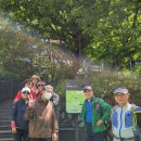 24-5-16목요일 아차산-용마산-중랑장미공원. 이미지