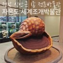세계조개박물관 | 신안 1004뮤지엄파크 볼거리 세계조개박물관