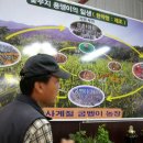 황금알 농장 이미지