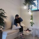 제이레브(J REVE) 이미지