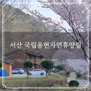 용현2세천 | 서산 국립용현자연휴양림 휴양관 계곡 벚꽃길 숙소 후기