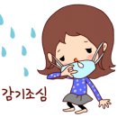 루리머리방 이미지