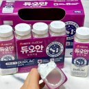 매일우유 음료 | 코스트코 장 건강 유산균 음료 추천 서울우유 듀오셀 푸룬