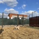 장자호수공원(반려견놀이터) 이미지