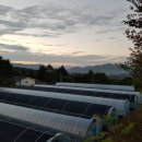 대성목장 이미지