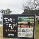수영성맛집 이미지