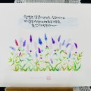 플러스펜 수채 캘리그라피 이미지