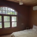 스테이 소이 이미지