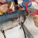 톡톡 생각을 그리는 유아미술 이미지