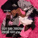 이고스디자인 | 내돈내산 실패없는 쉬인깡! Y2K 갸루템 쇼핑하울 (SHEIN 첫구매 사이즈팁)