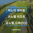 늘푸른투어